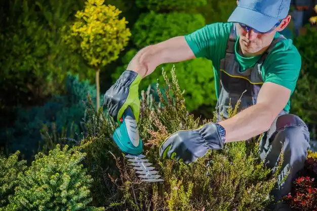landscaping services Bayport
